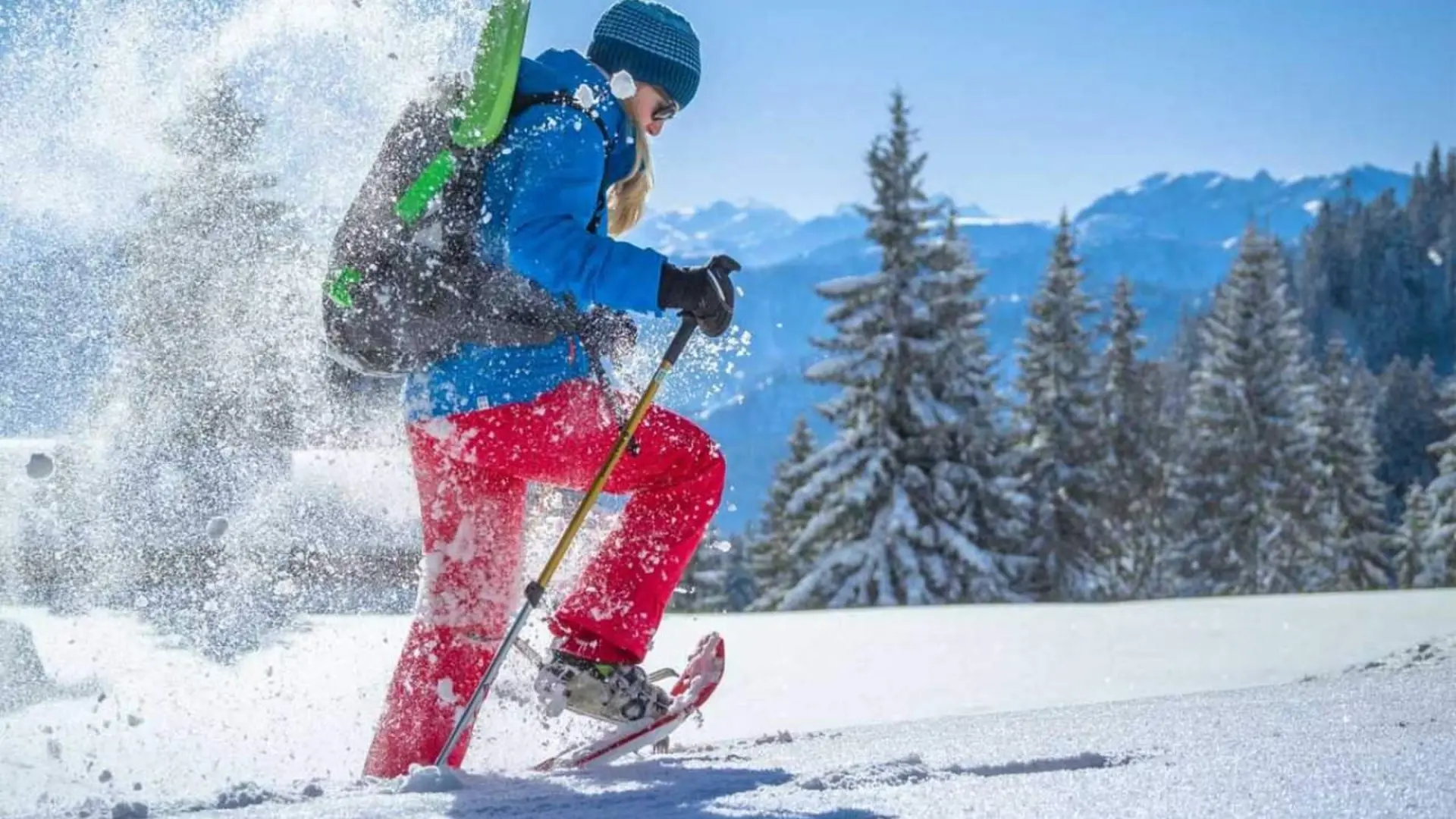 Schneeschuhwandern | © DAV