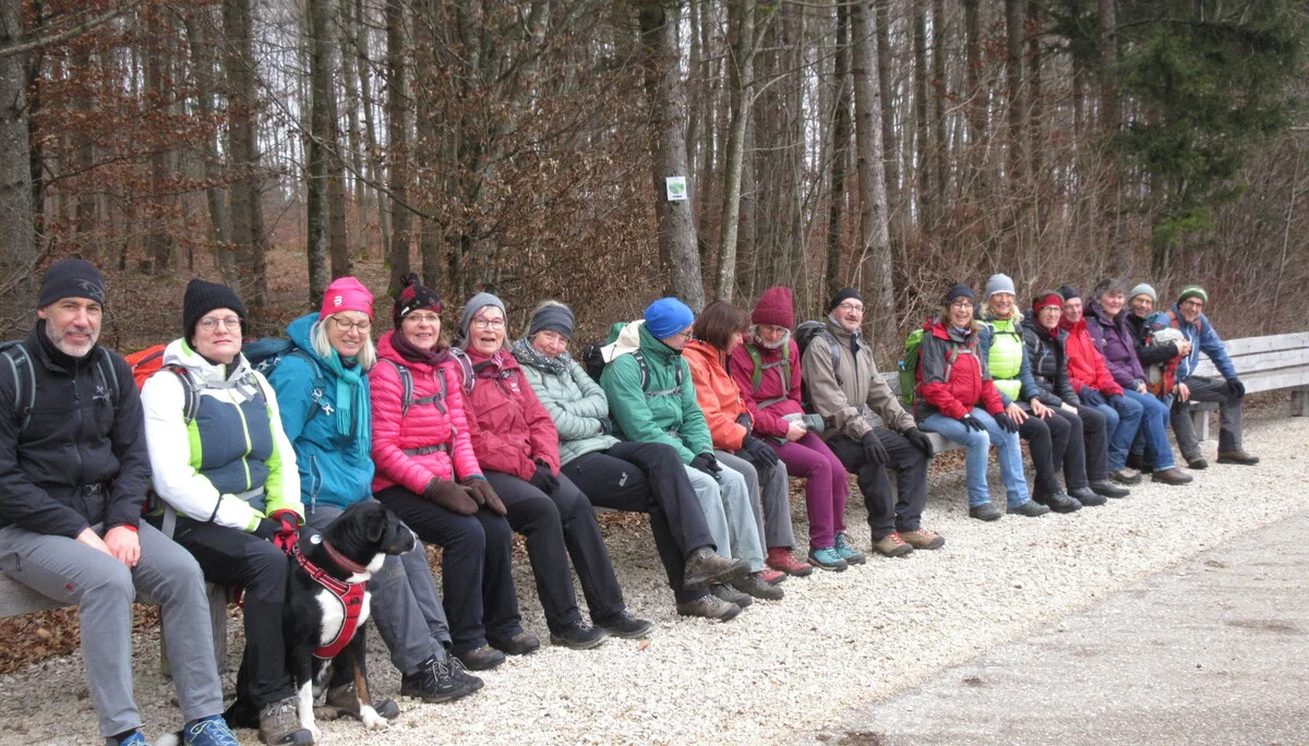 Die Falken | © Die Falken