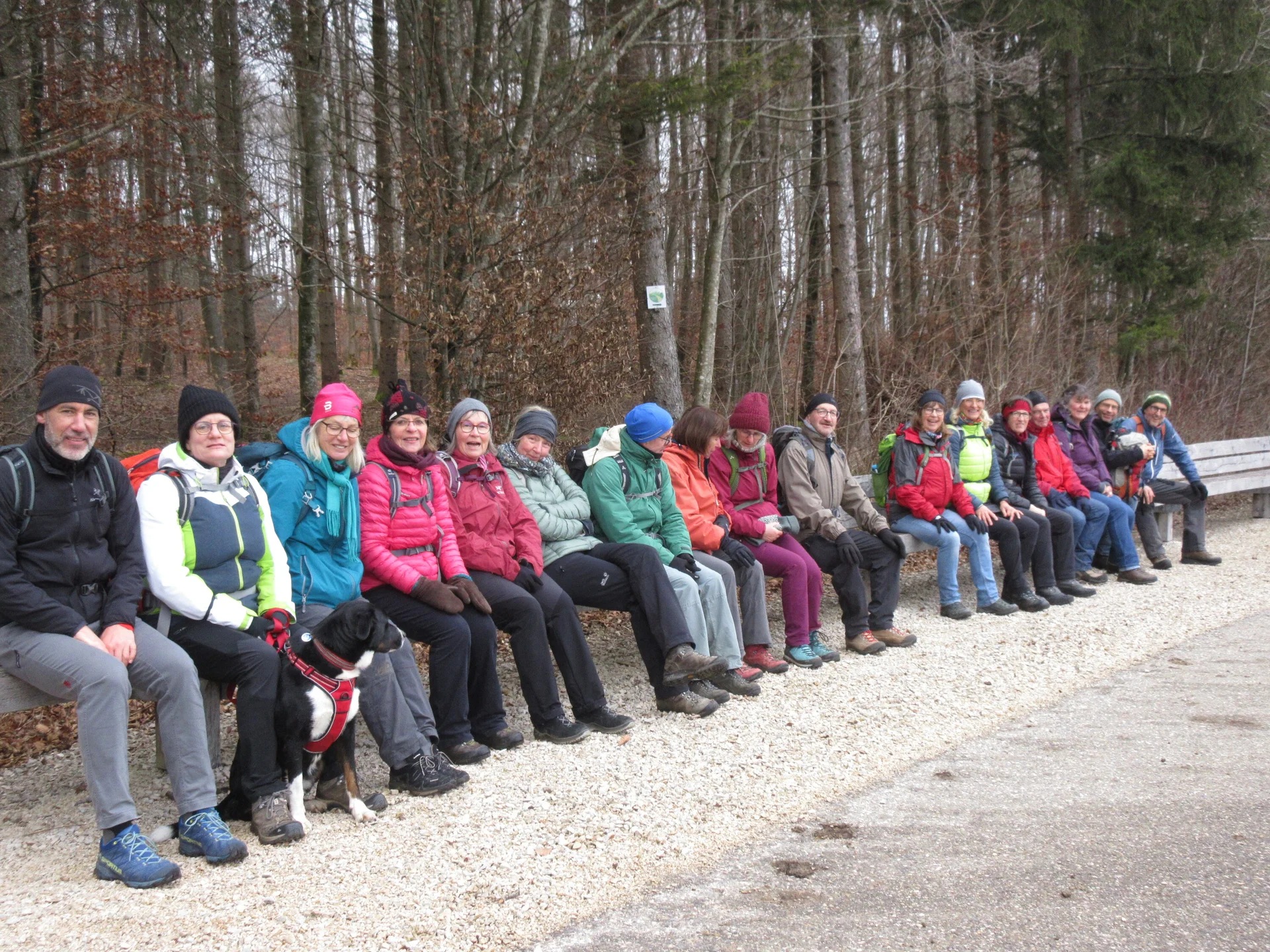 Die Falken | © Die Falken