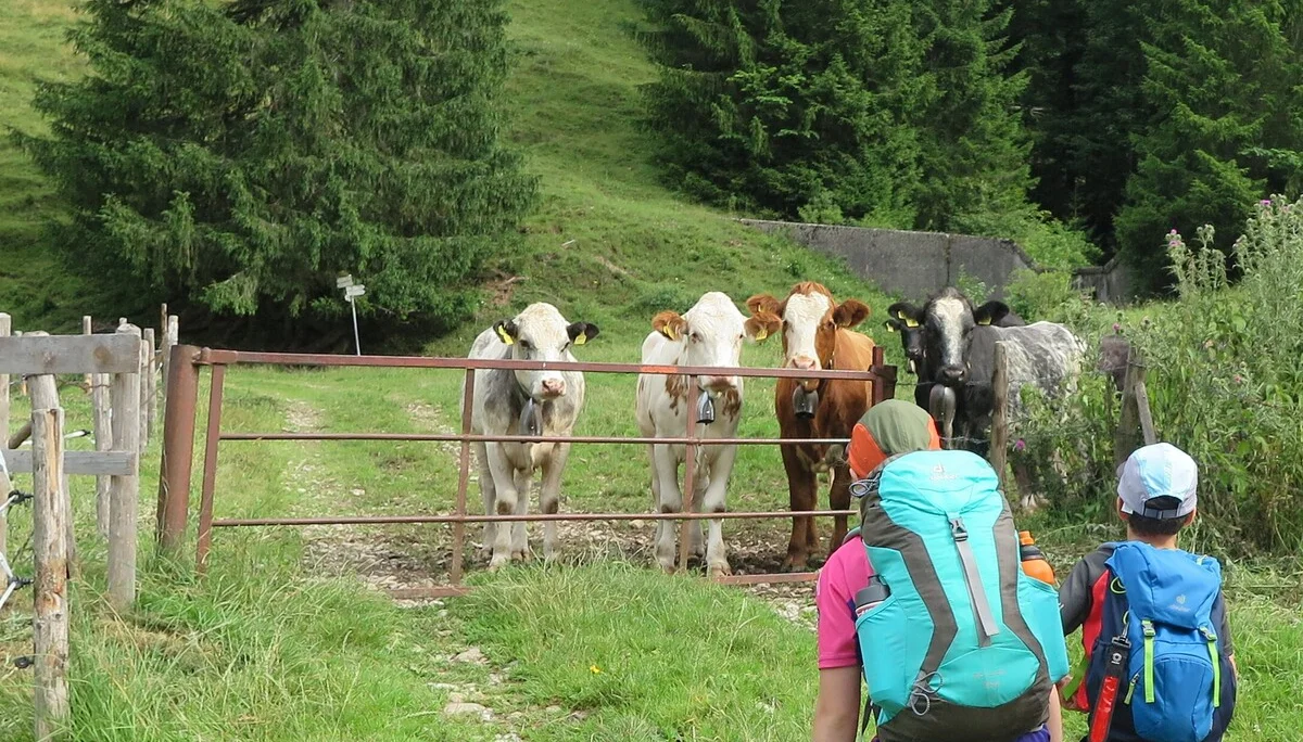 Familiengruppe | © DAV Neu-Ulm