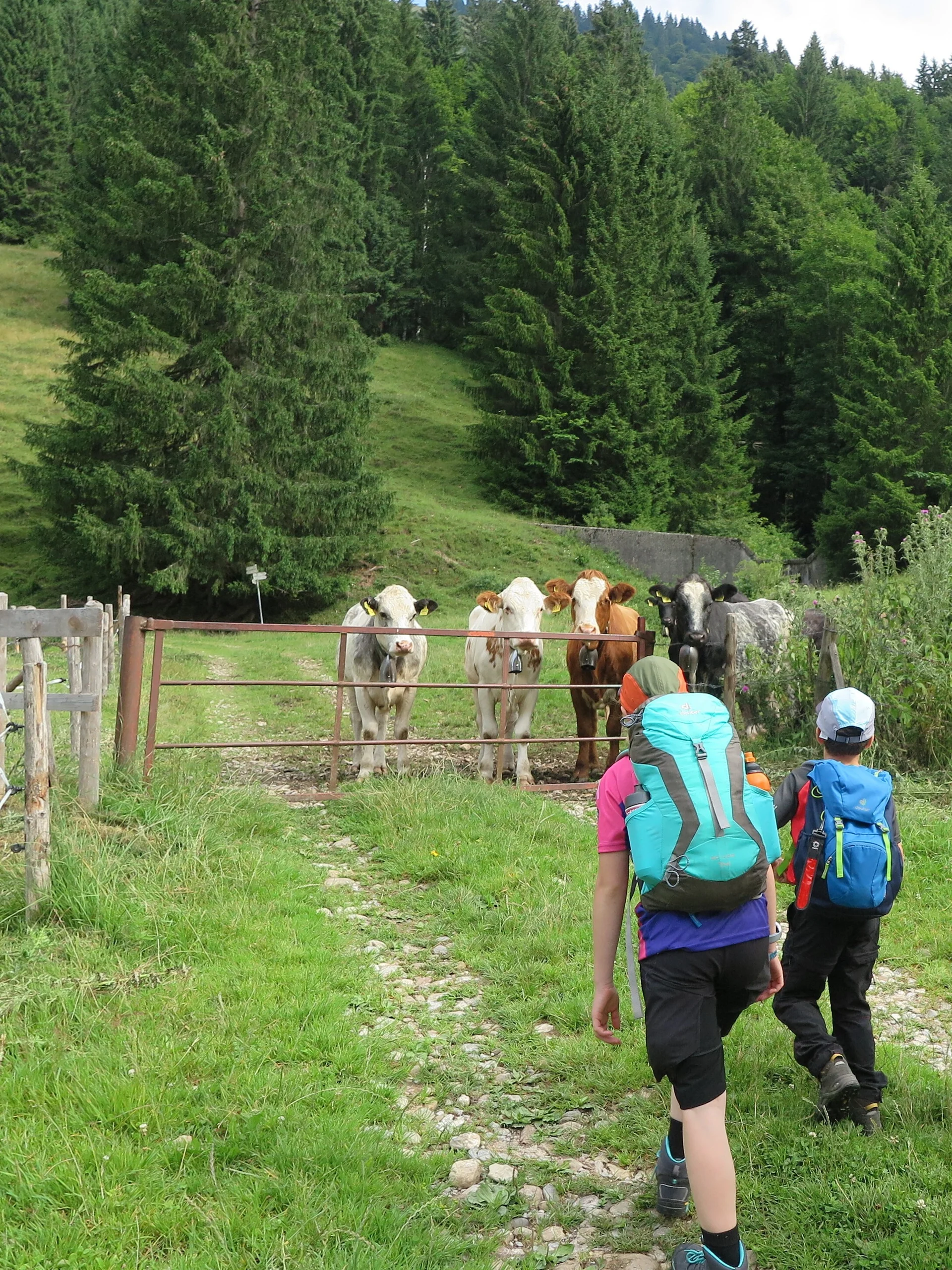 Familiengruppe | © DAV Neu-Ulm