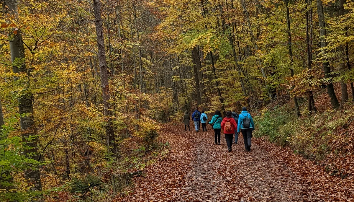 Wanderung im Herbst | © Wanderung im Herbst