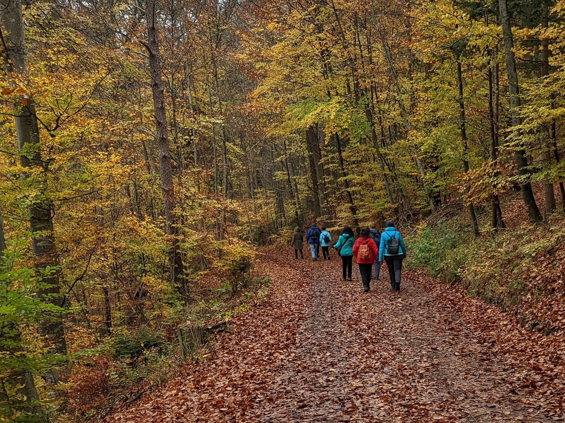 Wanderung im Herbst | © Wanderung im Herbst