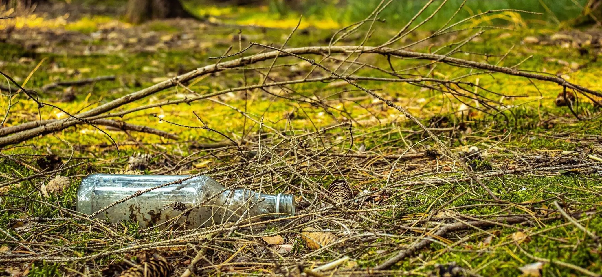 Müll in den Bergen | © DAV