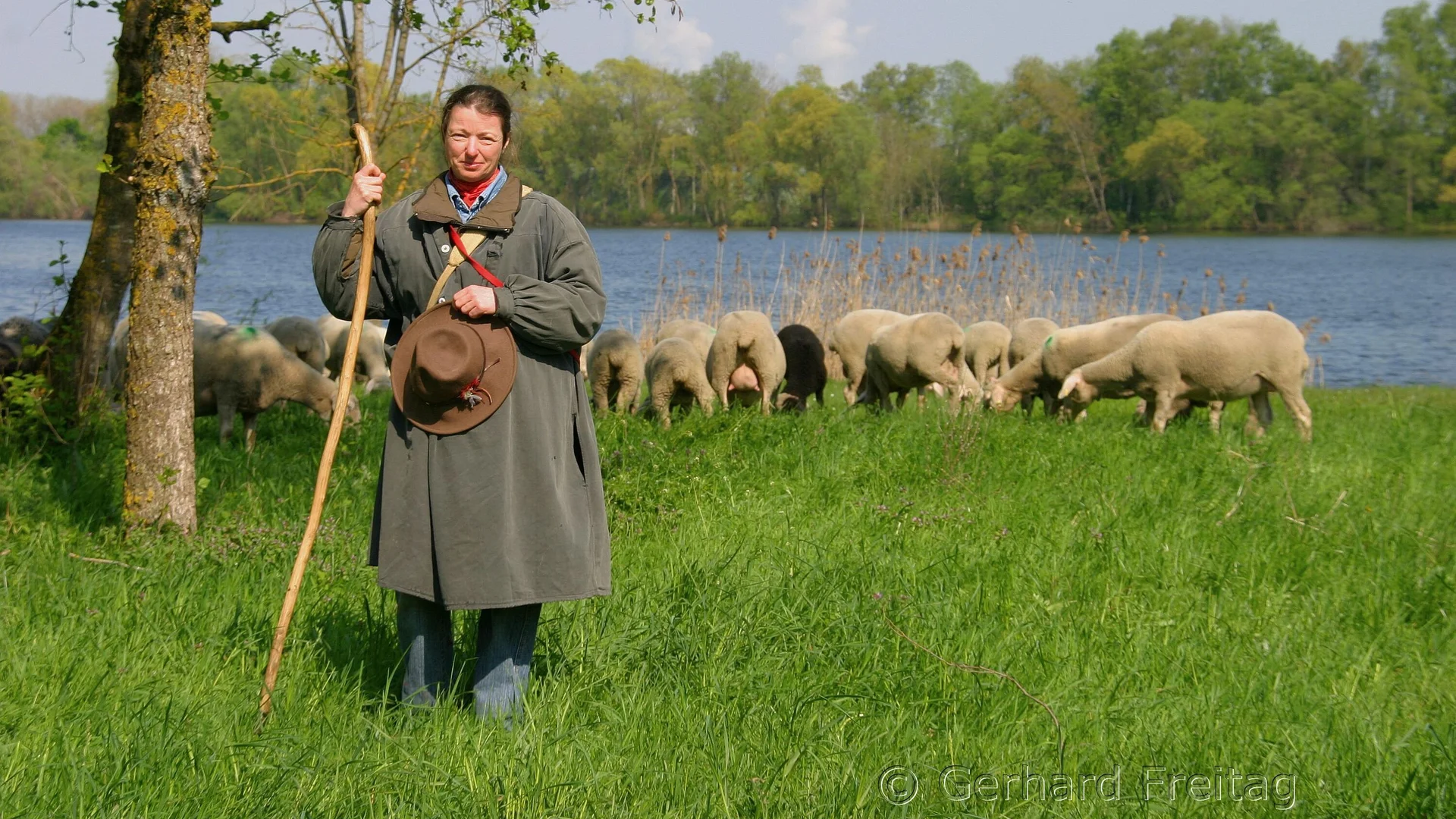 Vortrag Wanderschaeferin | © Gerhard Freitag