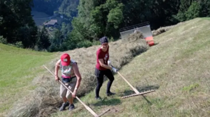 Als Helfer auf Bergbauernhöfen in Südtirol | © Ruth Berg
