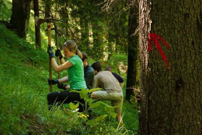 Im Einsatz für den alpinen Schutzwald.  | © DAV/Arvid Uhlig